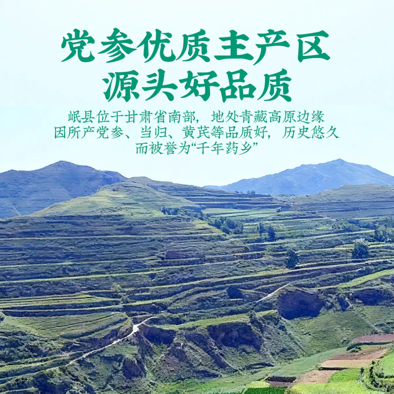 新鲜党参甘肃岷县正宗中药材正品鲜党参批发包邮