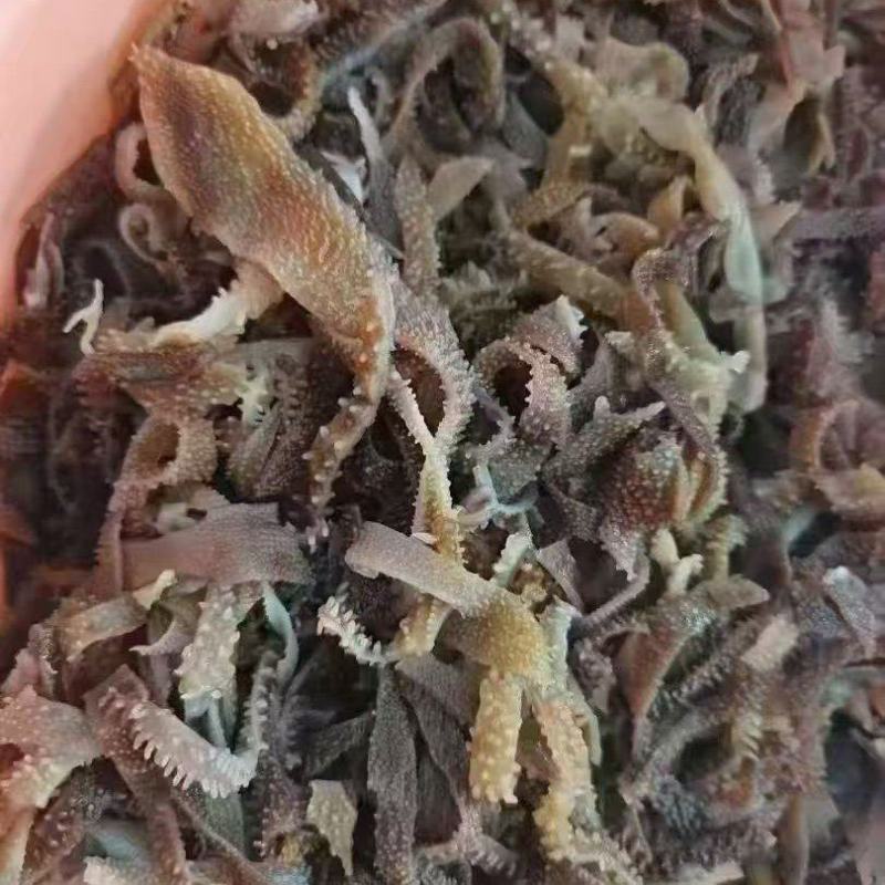 黑短千层毛肚丝