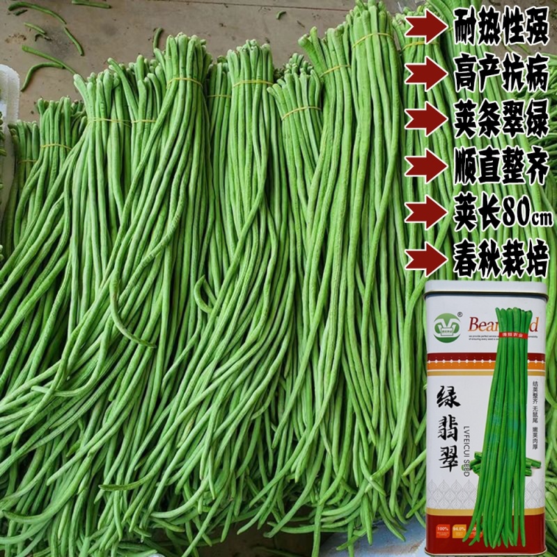 绿翡翠长豆角四季豆种籽翠绿肉厚高产春秋大田基地种植豆角种