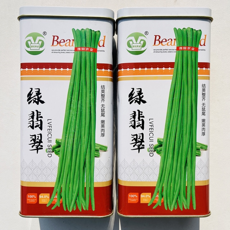 绿翡翠长豆角四季豆种籽翠绿肉厚高产春秋大田基地种植豆角种