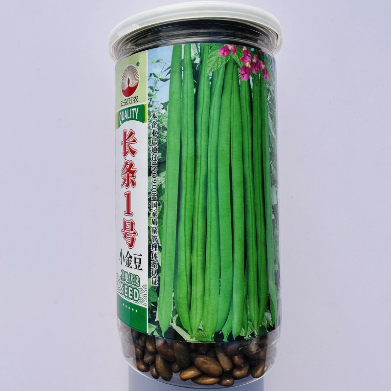 长条1号小金豆种籽加长版青色无筋结荚多顺直高产春秋播种