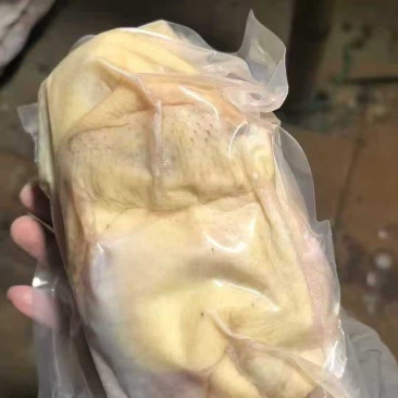 真空老母鸡工厂直接发货，货源充足，适合电商市场