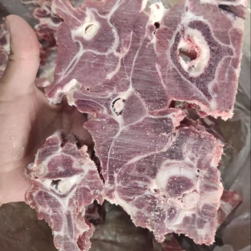 双威内蒙多肉羊蝎子