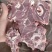 双威内蒙多肉羊蝎子
