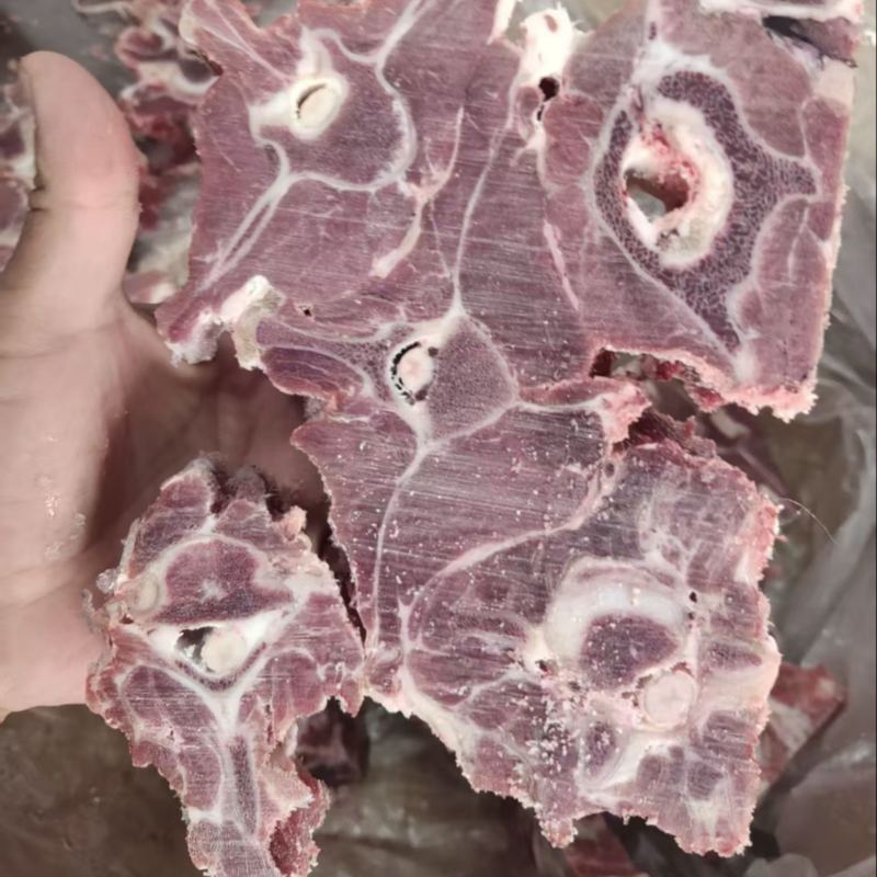 双威内蒙多肉羊蝎子
