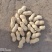 花育9616精选花生果商品果，炒货果，水煮果