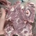 双威内蒙多肉羊蝎子