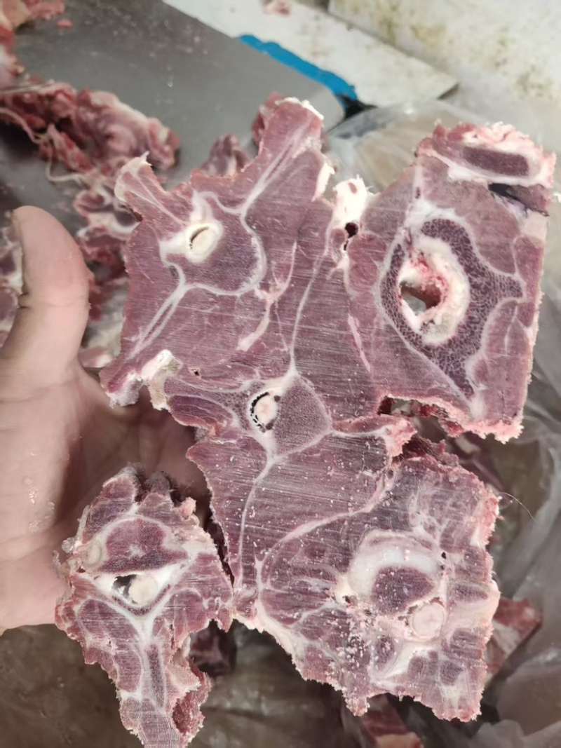 双威内蒙多肉羊蝎子