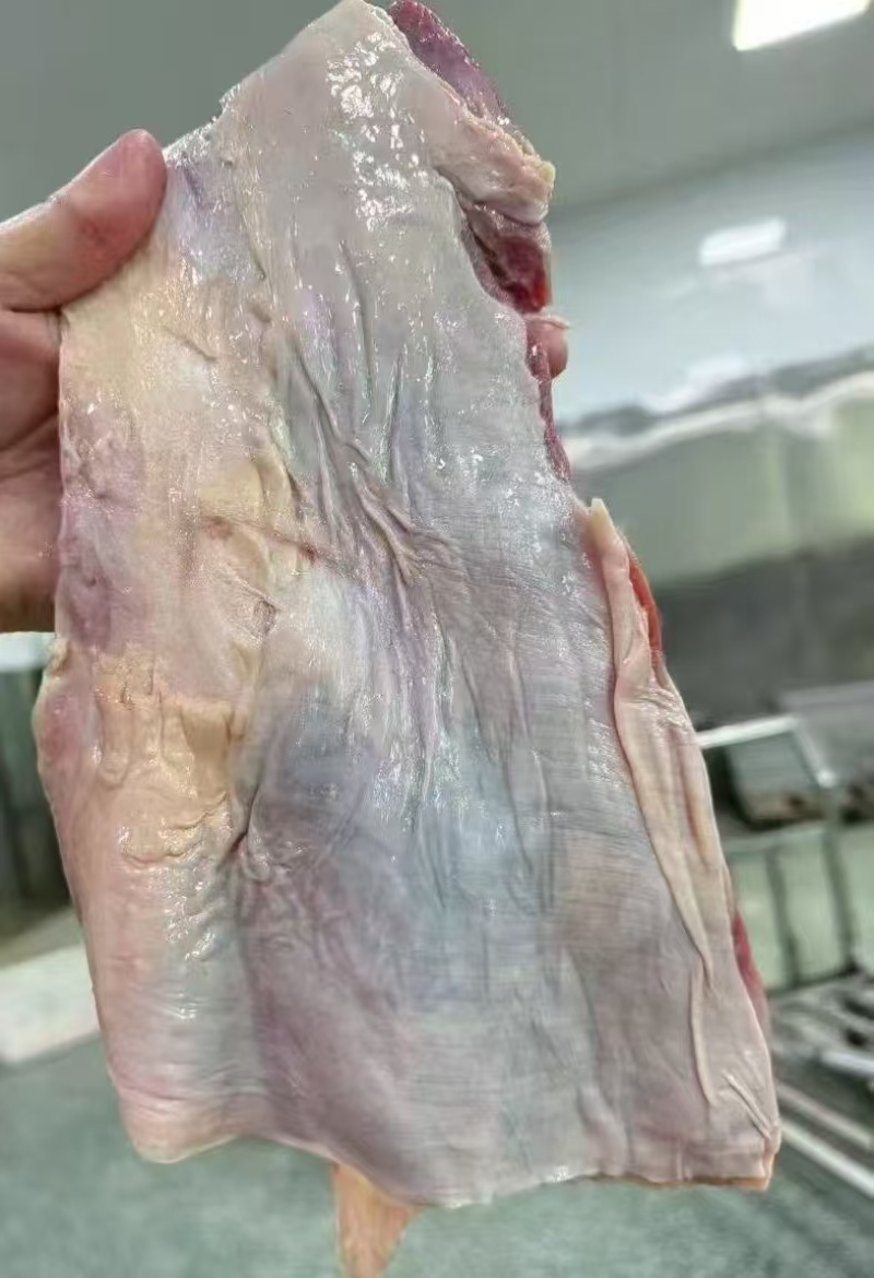 牛宫后，源头厂家，一件起发，全球直发只等您来