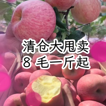 精品红富士苹果产地对接商超电商批发市场出口国外市场