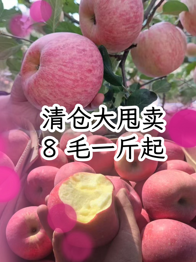 精品红富士苹果产地对接商超电商批发市场出口国外市场