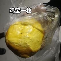 鸡宝