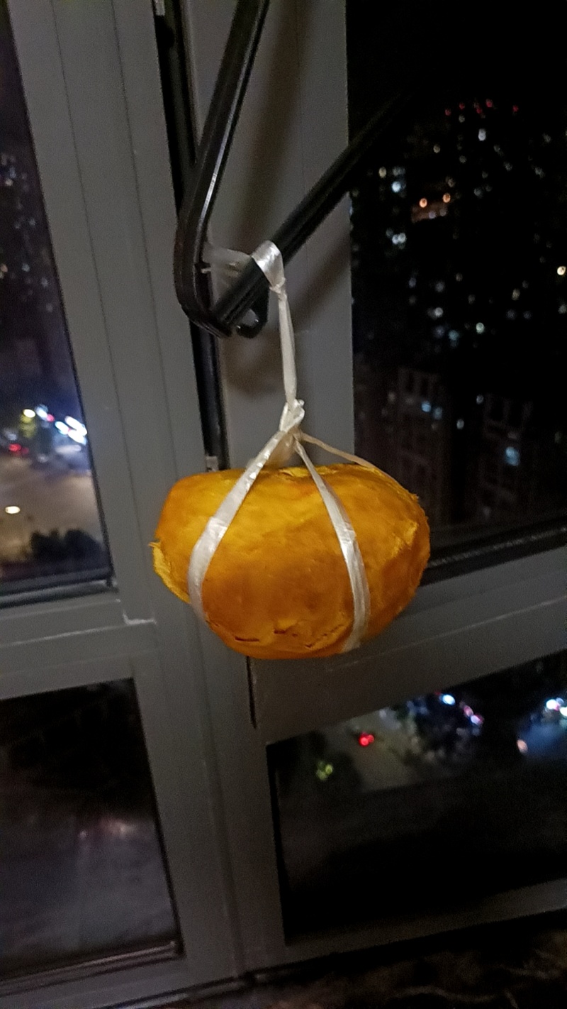 鸡宝