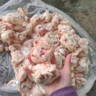 肥猪小脚圈10kg/箱新货鲜分货号便宜