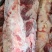带肉牛胸骨