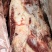 带肉牛胸骨