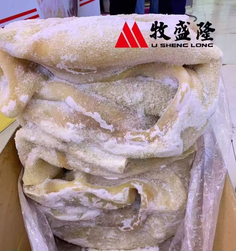 牧盛隆:牛大肚