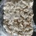 肥猪耳根碎肉10kg/箱新货