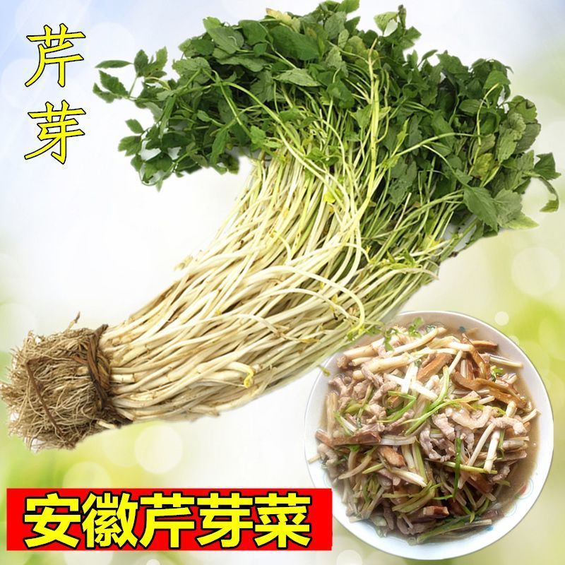 芹芽/产区直发/大量有货/当天发货