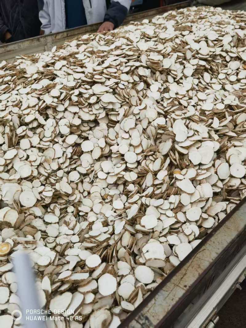 白芷/云南文山文山市白芷片大量出货/对接全国采购商