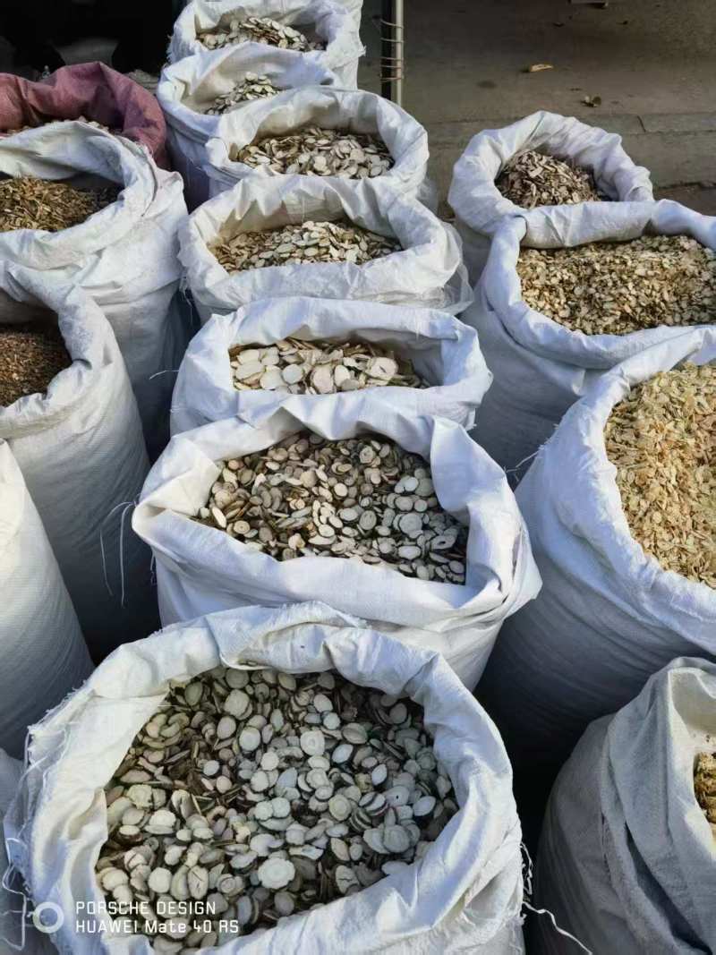 白芷/云南文山文山市白芷片大量出货/对接全国采购商