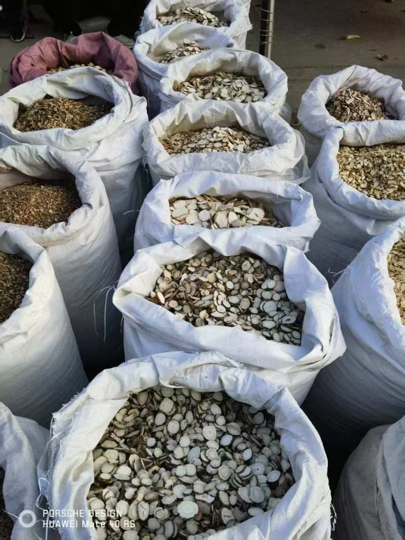 白芷/云南文山文山市白芷片大量出货/对接全国采购商