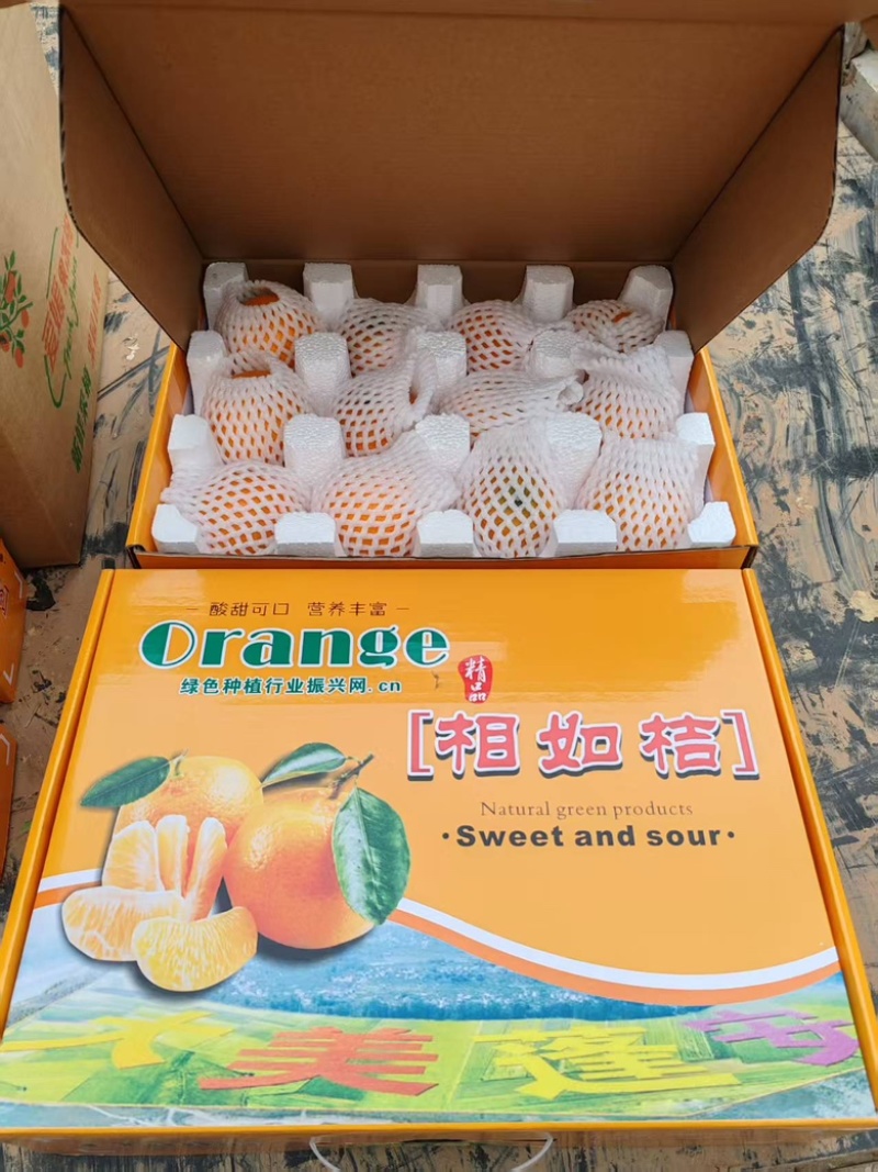 精品甜橙个大味甜挂树鲜果支持视频看果欢迎联系