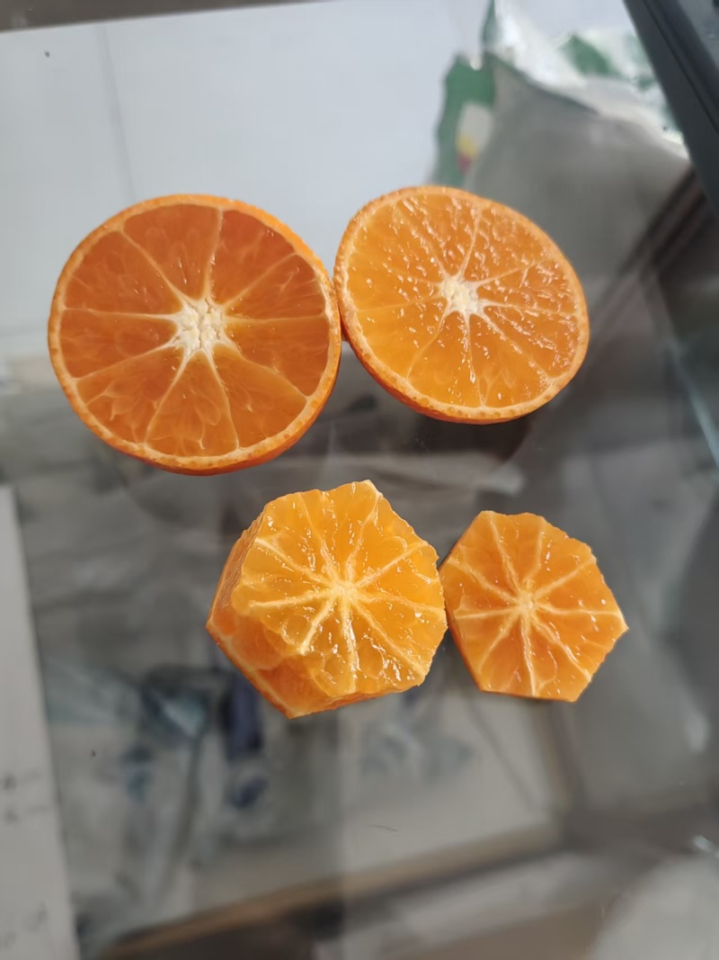 金秋沙糖桔，产地一手货源量大优惠欢迎合作量大优惠