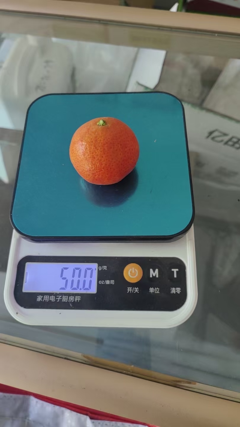 金秋沙糖桔，产地一手货源量大优惠欢迎合作量大优惠