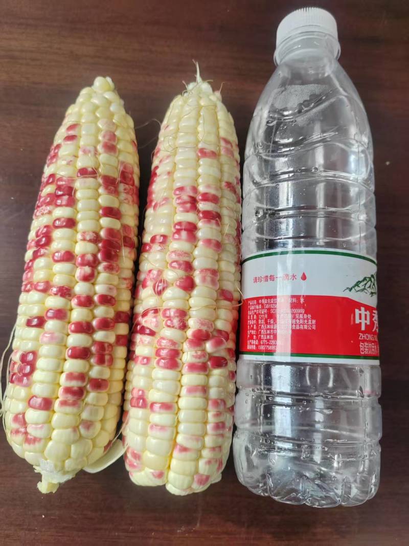 鲜玉米，花玉米，甜糯玉米，