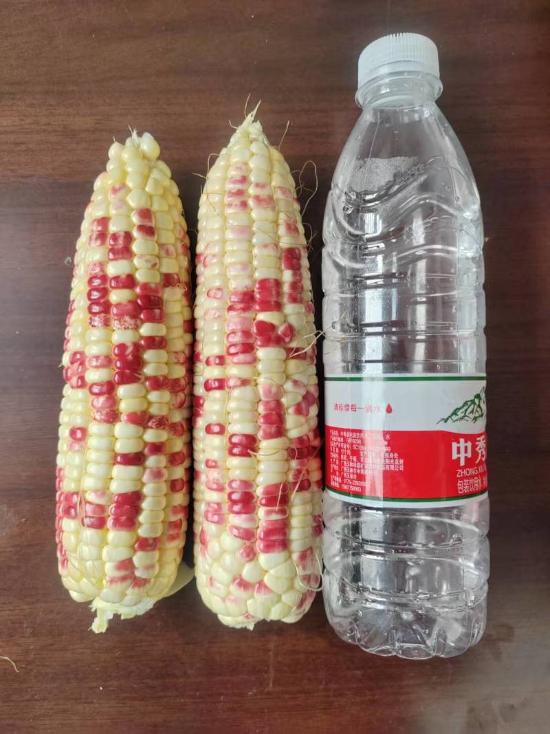 鲜玉米，花玉米，甜糯玉米，