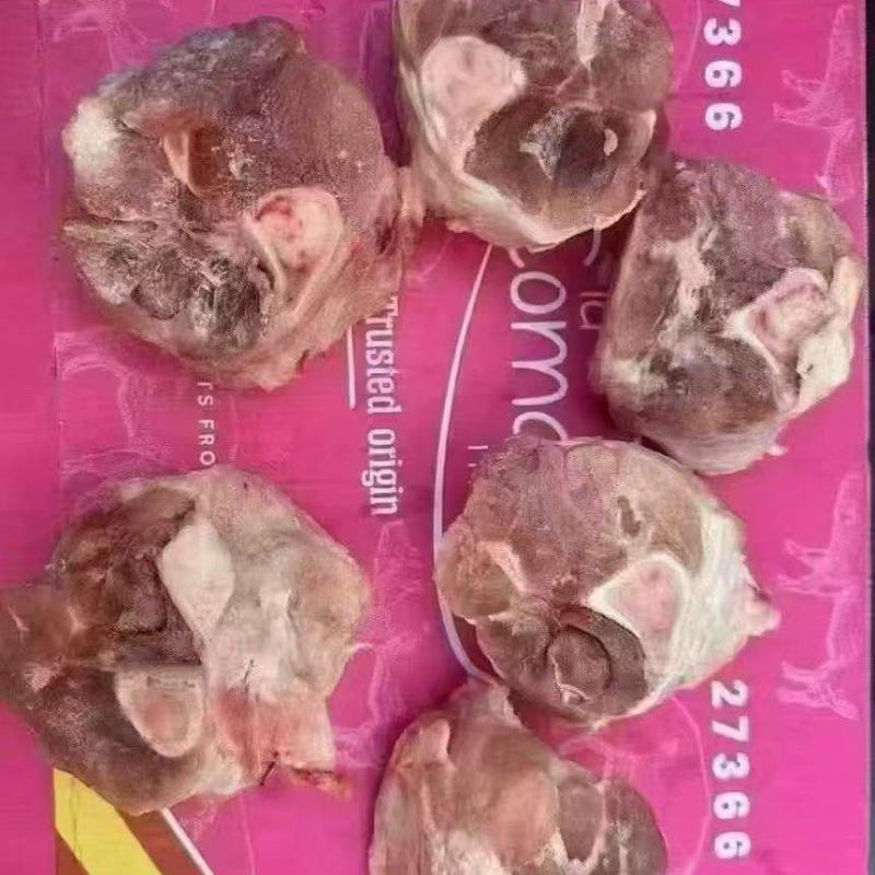 肘骨块