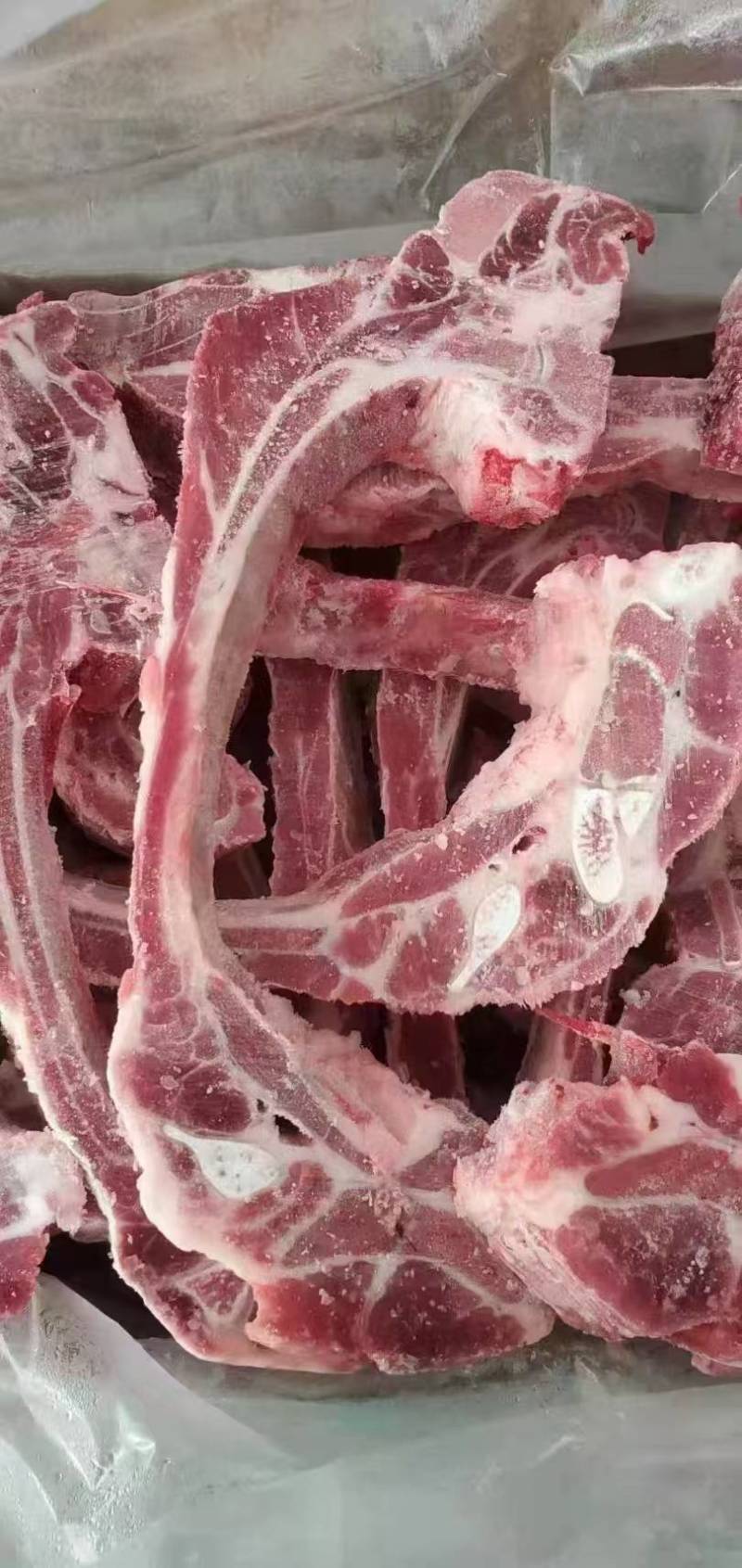 去颈前排，母猪去颈前排