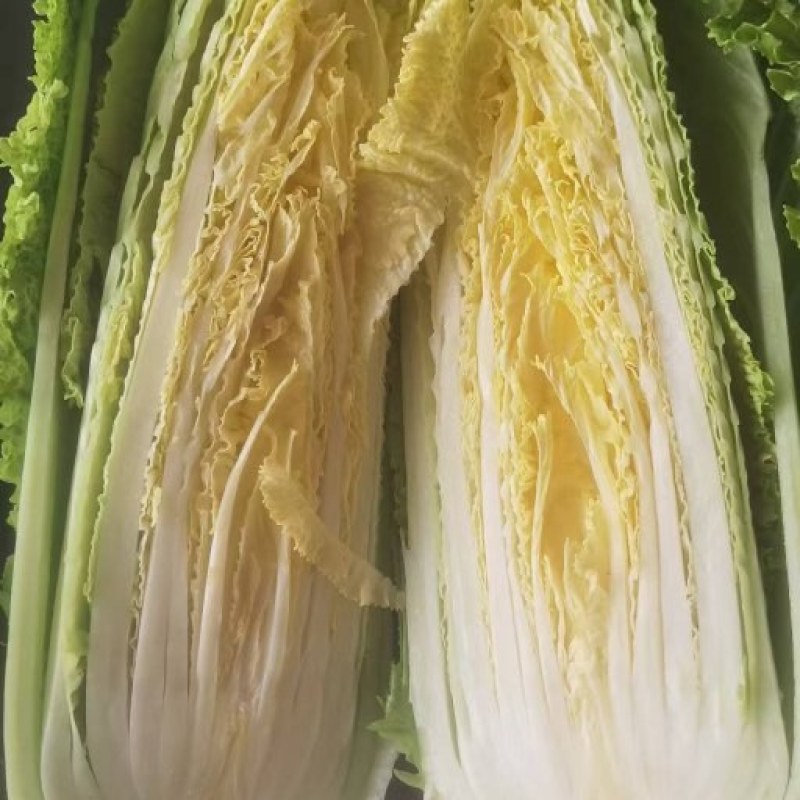 湖北黄心龙芽菜基地直发量大从优价格美丽