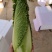 湖北黄心龙芽菜基地直发量大从优价格美丽