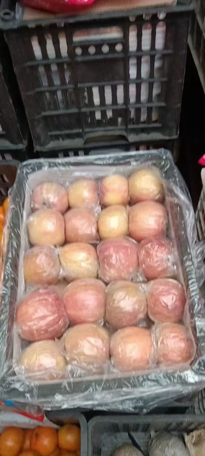 山西临猗红富士苹果