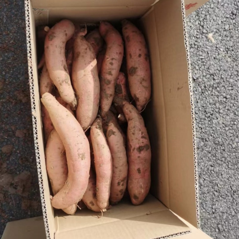 【优选】西瓜红富晒红薯香甜可口保质保量欢迎进店