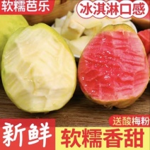 奶油芭乐红心软芭乐草莓芭乐番石榴支持商超、团购、电商代发