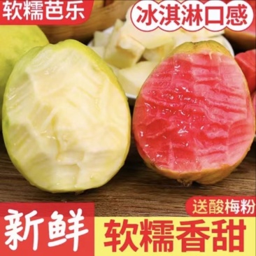 奶油芭乐红心软芭乐草莓芭乐番石榴支持商超、团购、电商代发