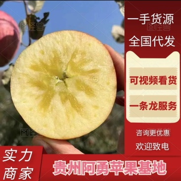 贵州红富士苹果现货现发货源充足规格齐全欢迎下单