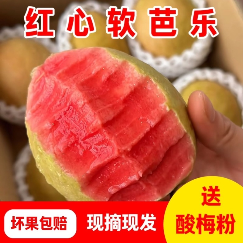 奶油芭乐红心软芭乐草莓芭乐番石榴支持商超、团购、电商代发