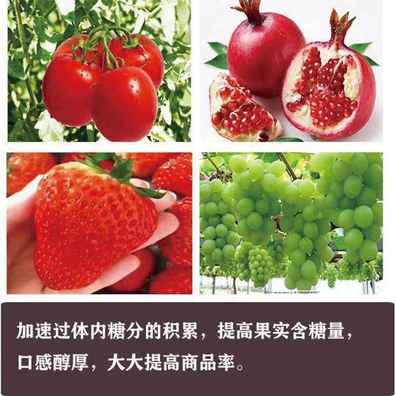 膨豪牛~膨大增产功能肥