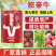 膨豪牛~膨大增产功能肥