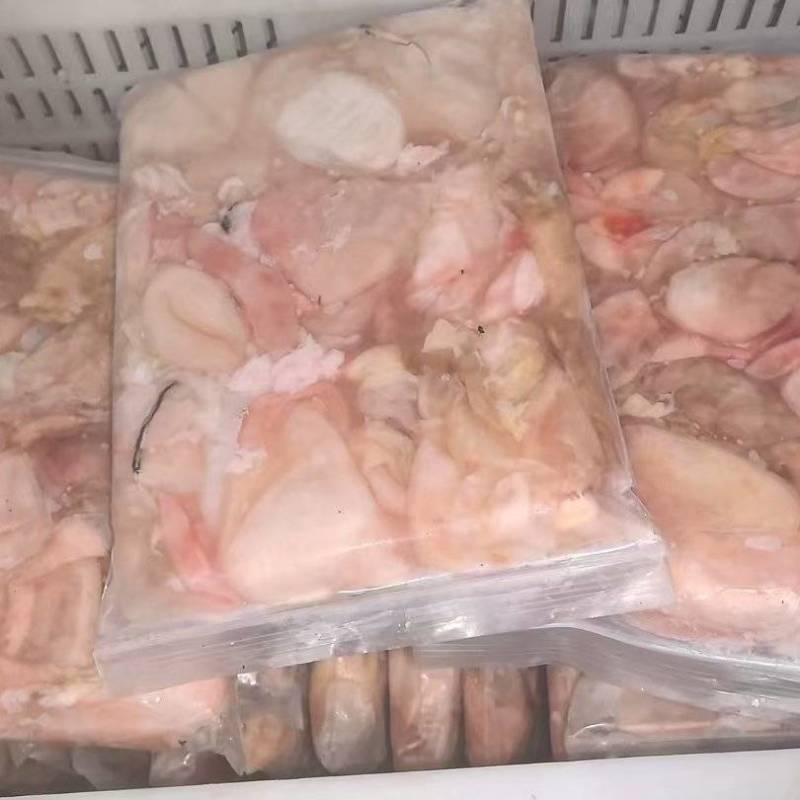鲢鱼泡