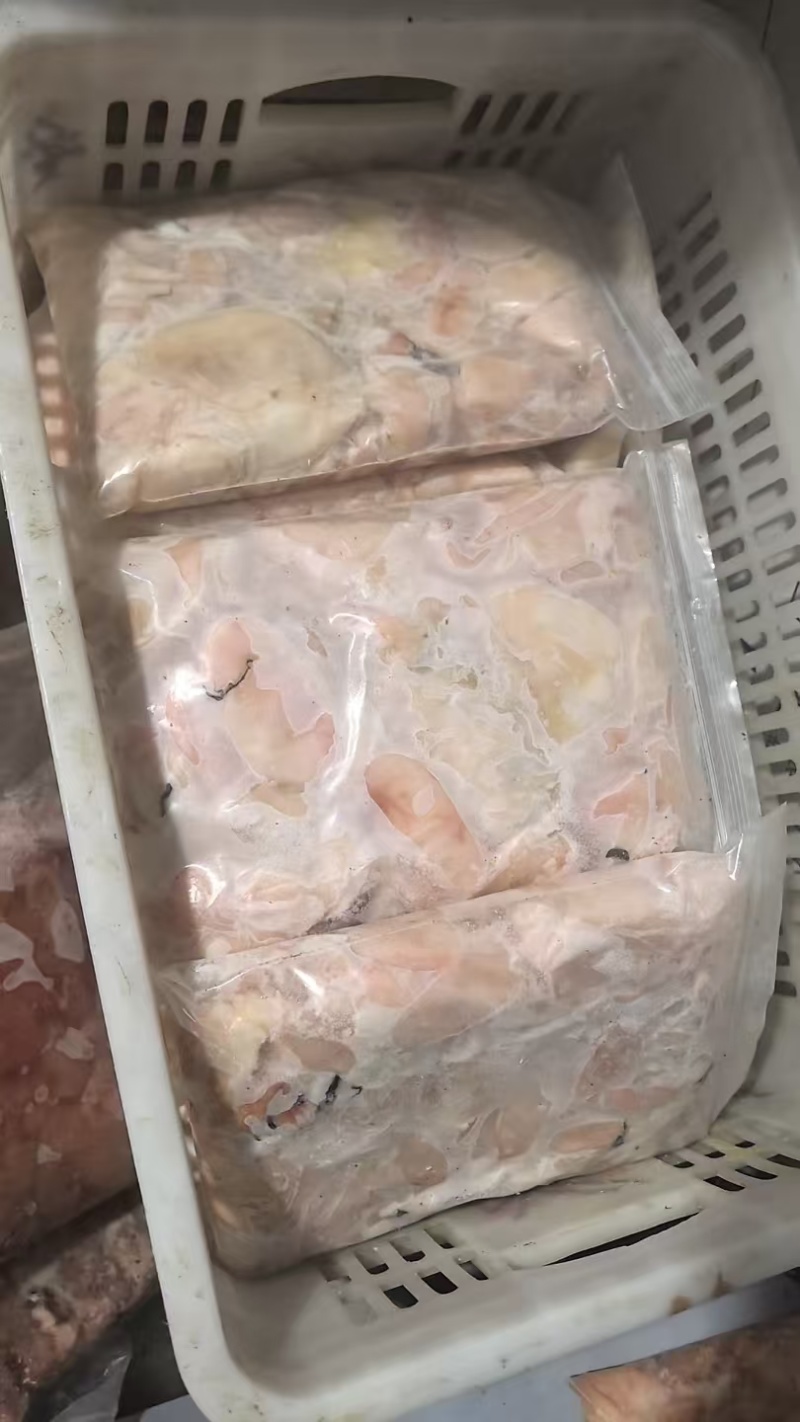 鲢鱼泡