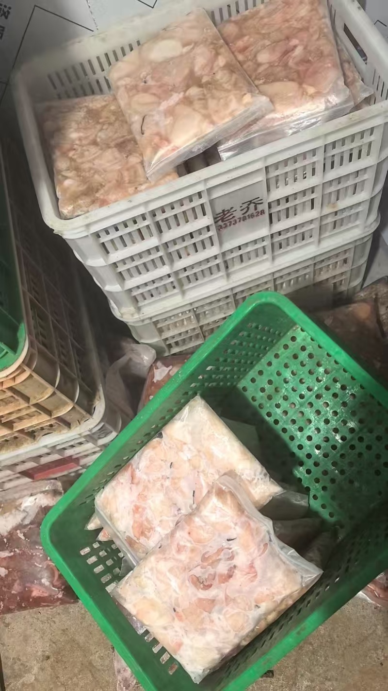 鲢鱼泡