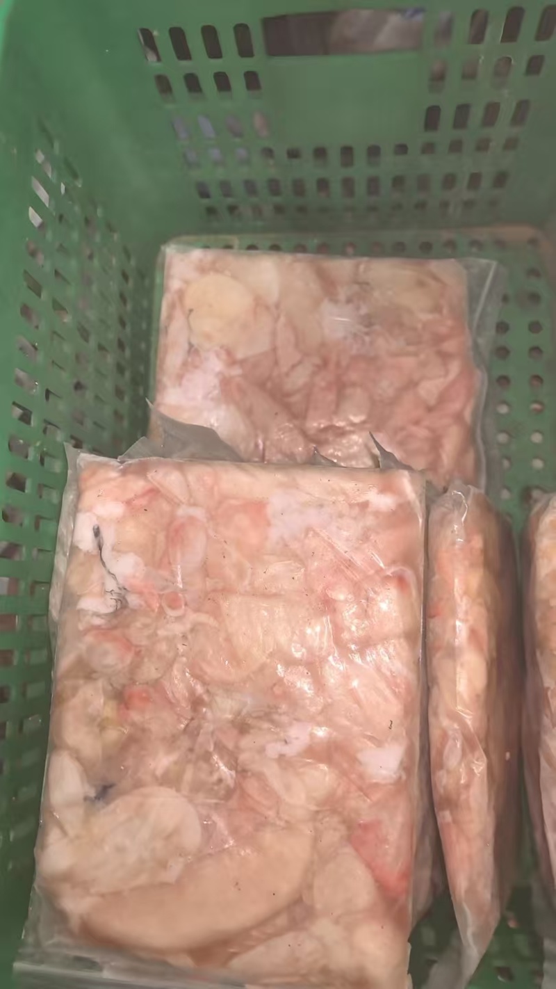 鲢鱼泡