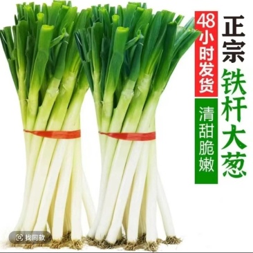 山东大葱，安丘大葱，电商一件代发