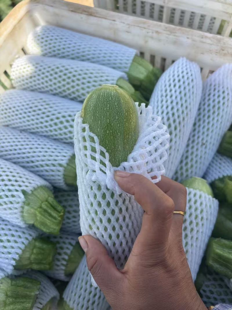 西葫芦市场货，电商货大量有