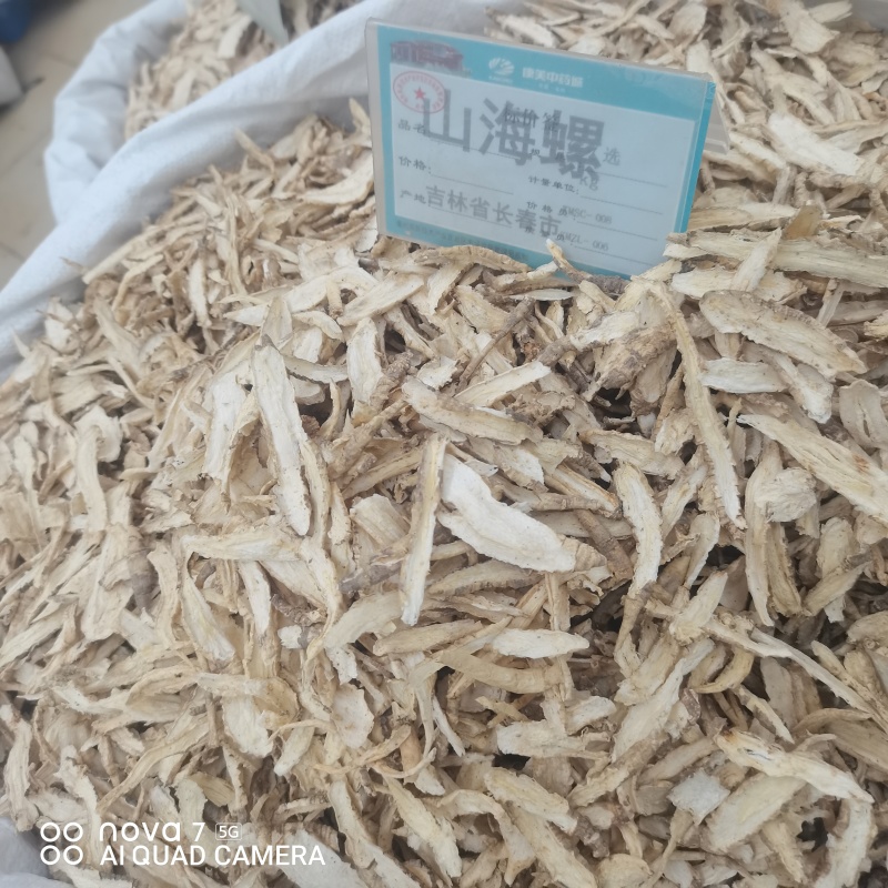 山海螺中药材特级野生山海螺新货正品羊乳根四叶参奶参狗头